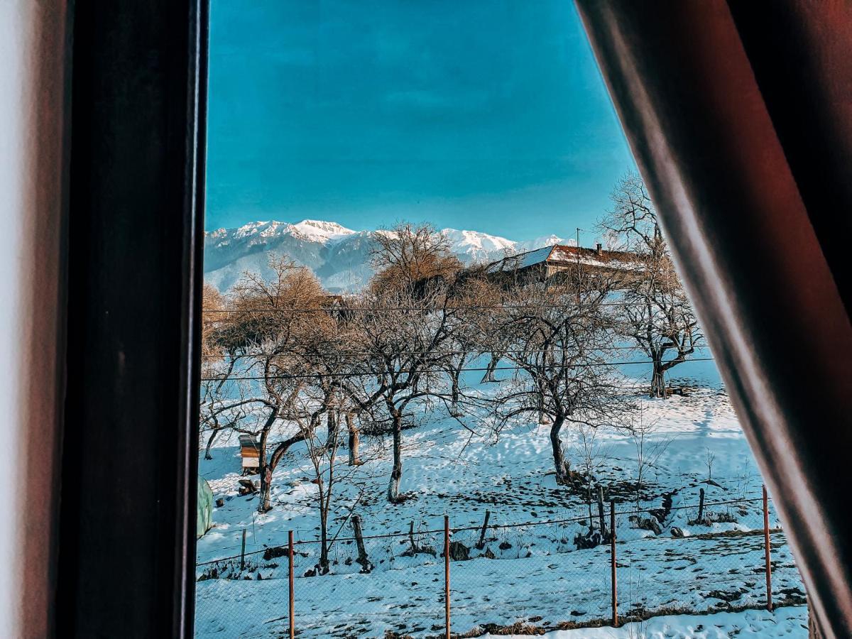 Transylvania Mountain View Cdi 布朗 外观 照片
