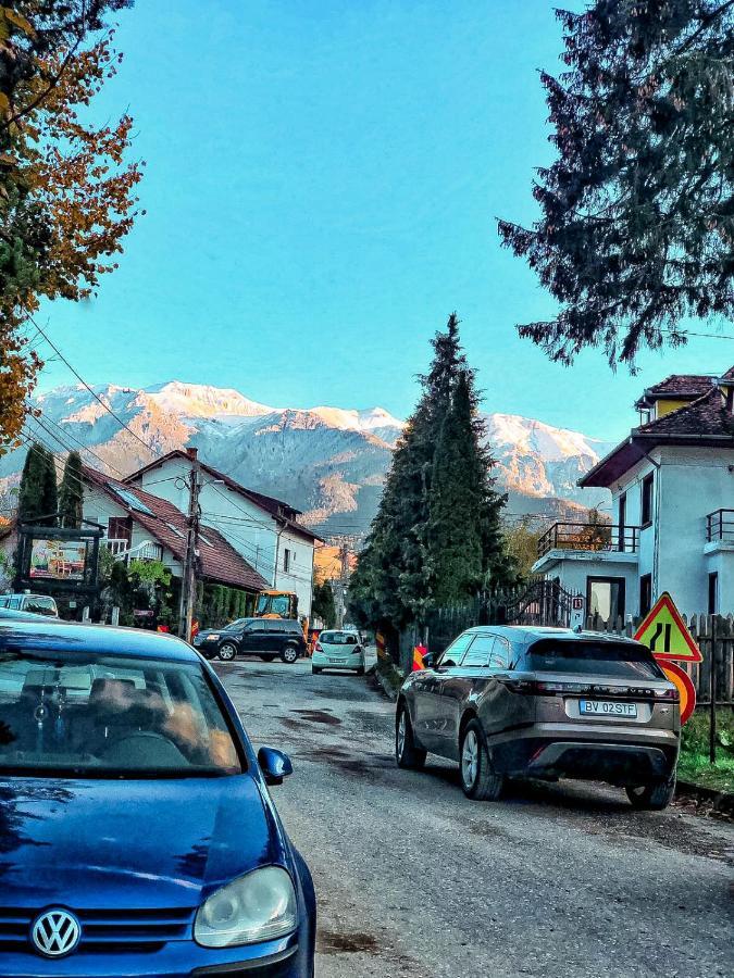 Transylvania Mountain View Cdi 布朗 外观 照片