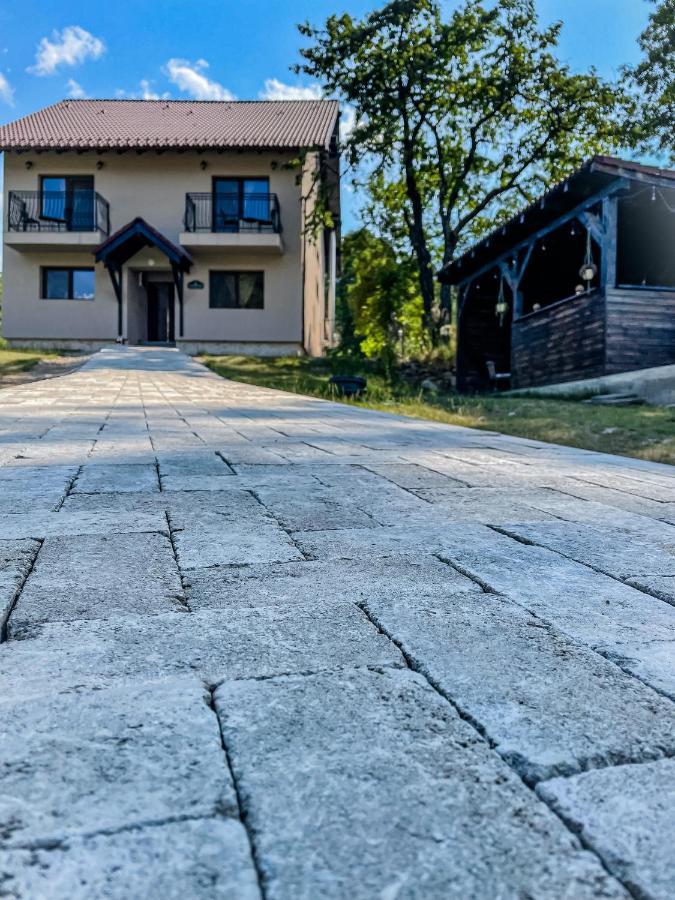 Transylvania Mountain View Cdi 布朗 外观 照片