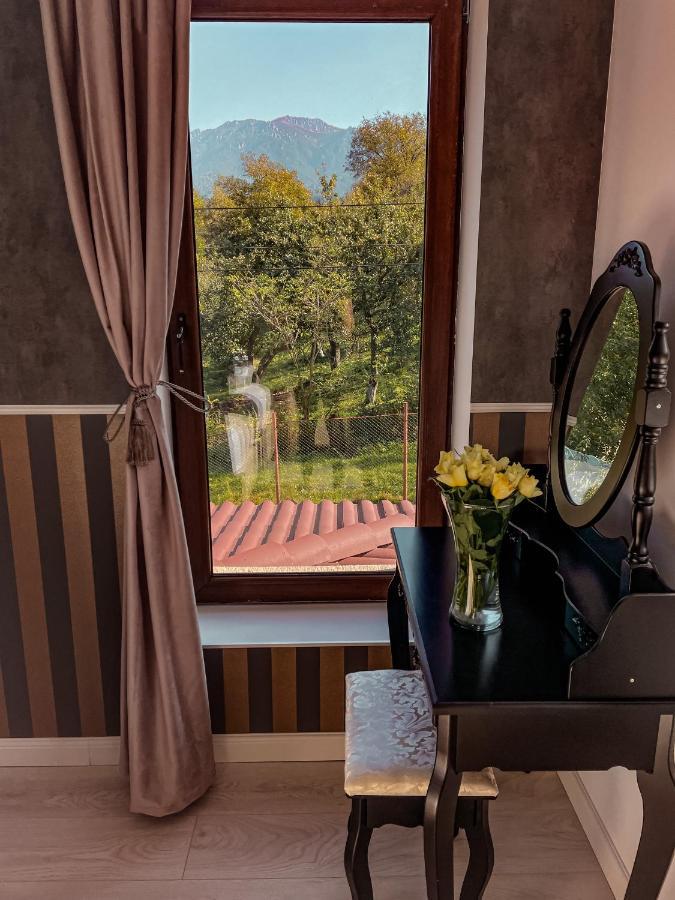 Transylvania Mountain View Cdi 布朗 外观 照片