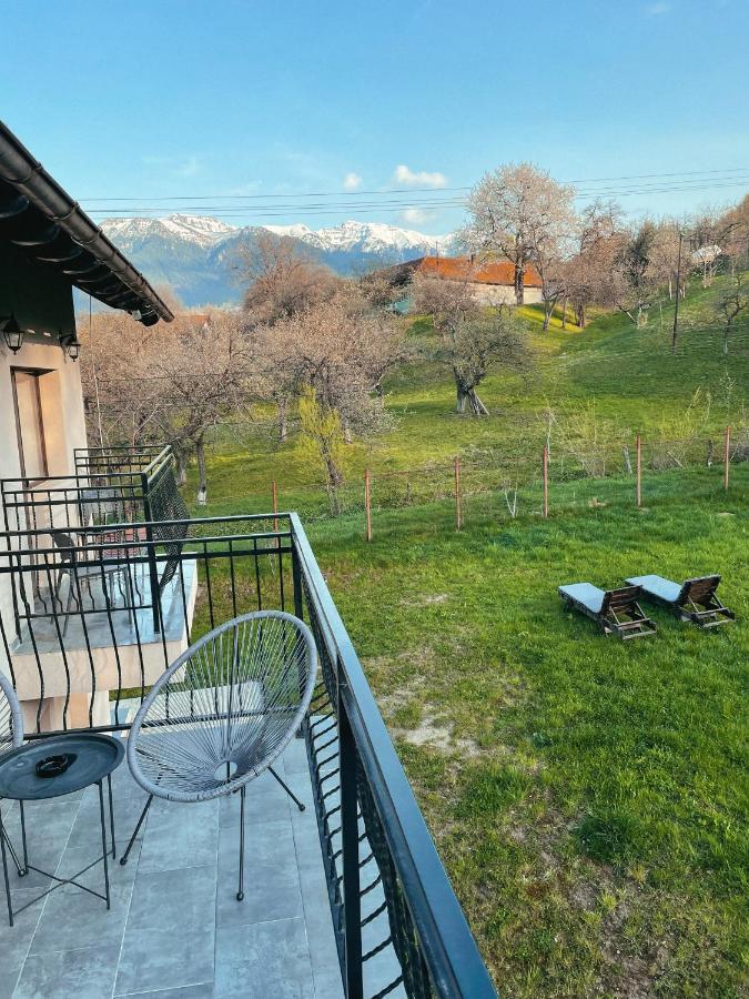 Transylvania Mountain View Cdi 布朗 外观 照片