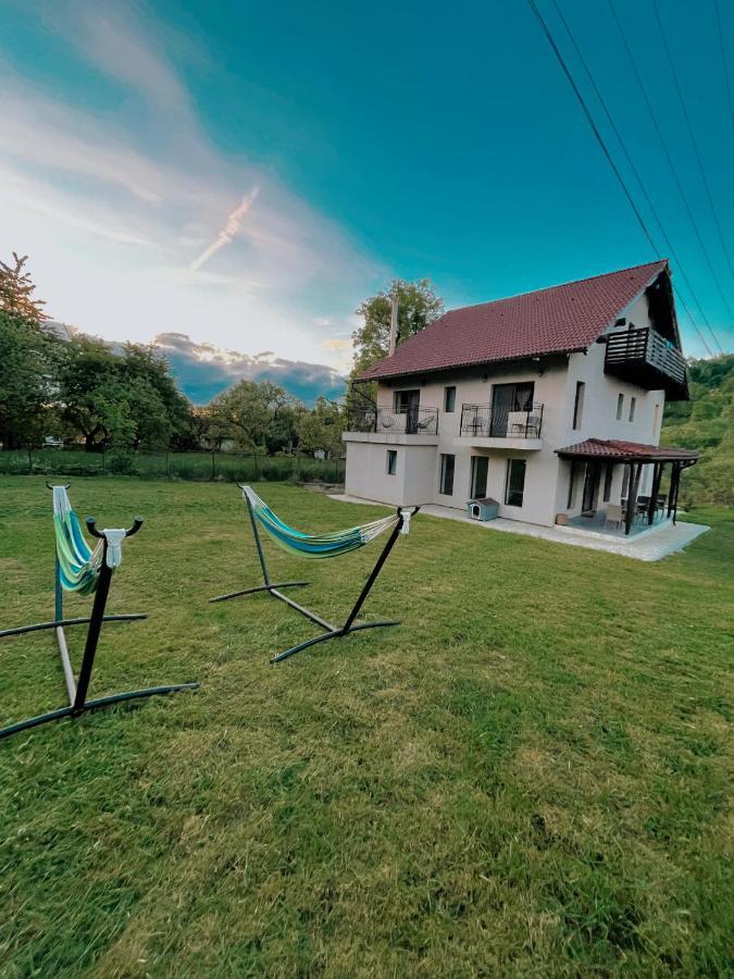 Transylvania Mountain View Cdi 布朗 外观 照片