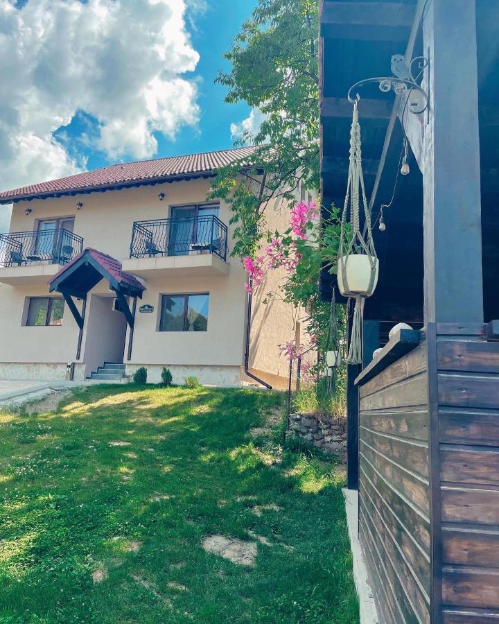 Transylvania Mountain View Cdi 布朗 外观 照片