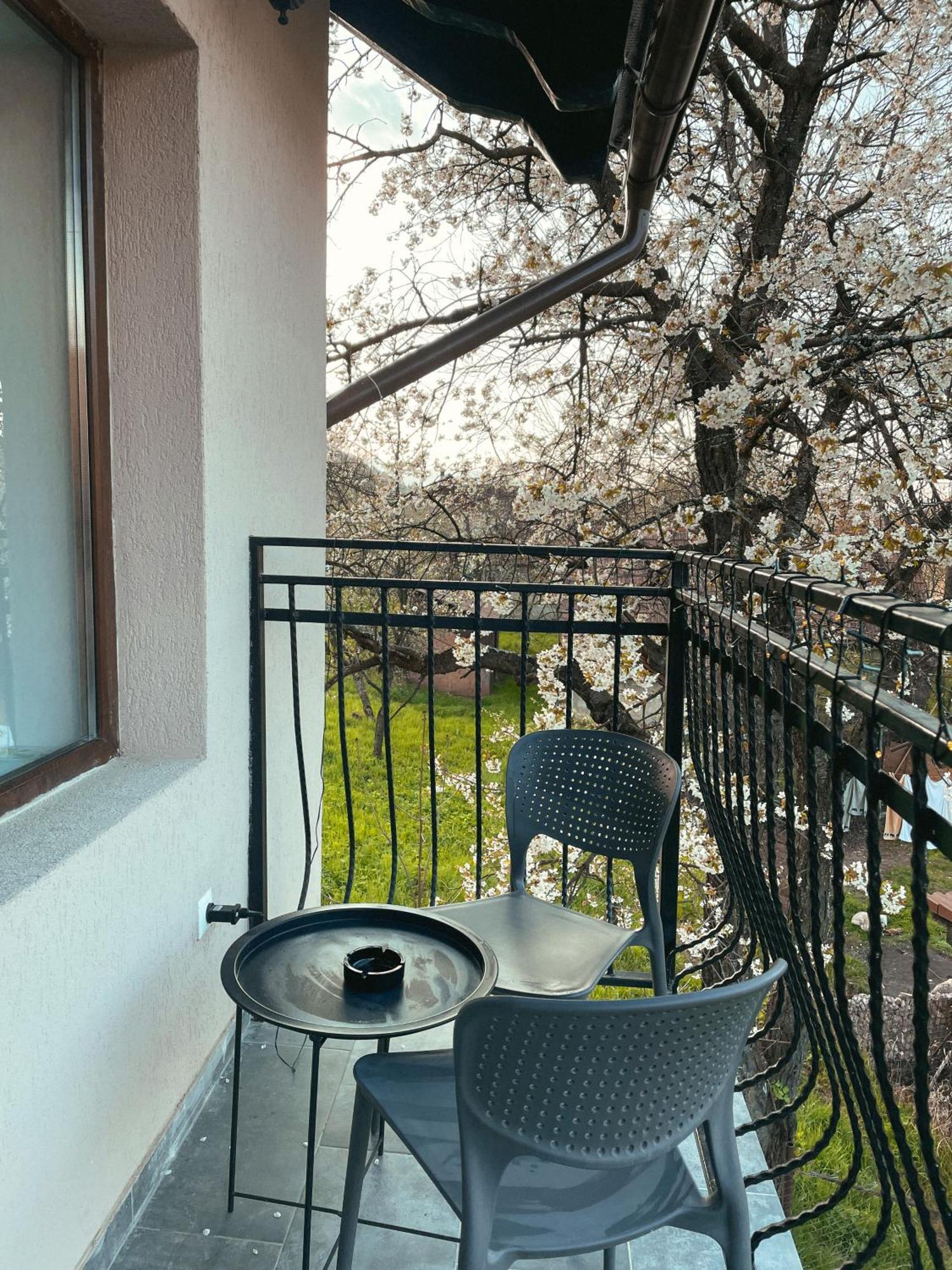 Transylvania Mountain View Cdi 布朗 客房 照片